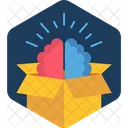 Brain Package Idea Parcel Icon