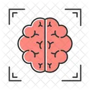 Brain Scan Icon