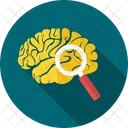 Brain Search Brain Examine Icon