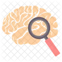 Brain Search  Icon