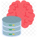 Brain Server Brain Human Icon