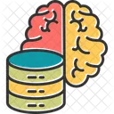 Brain server  Icon