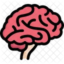 Brain Side  Icon