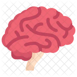 Brain Side  Icon
