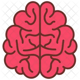 Brain upper view  Icon