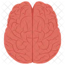 Brain upper view  Icon