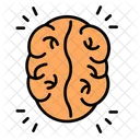 Brains  Icon