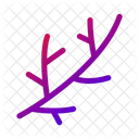 Branch Tree Nature Icon