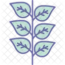 Branch Olive Peace Icon