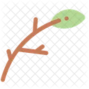Branch Leaf Tree Icon