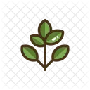 Branch Leaves Tree Icon