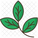 Branch Leafage Nature Icon