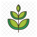 Branch Leafage Icon