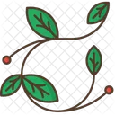 Branch Leafage Berries Icon