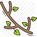 Branch  Icon