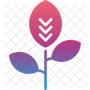 Branch  Icon