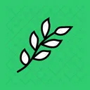 Branch Leaf Leaves Icon