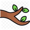 Branch Tree Nature Icon