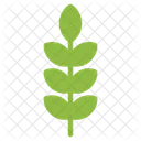 Green Leaf Natural Icon