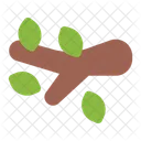 Branch Plant Twig Icon