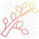 Branch  Icon