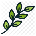Branch  Icon