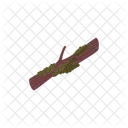 Moss Nature Grass Icon