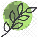 Branch  Icon