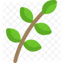 Branch  Icon