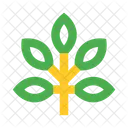 Branch Leaves Icon