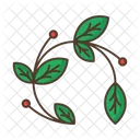 Branch Leafage Berries Icon