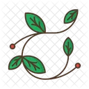 Branch Leafage Berries Icon
