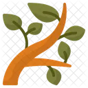 Branch Tree Nature 아이콘