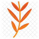 Branch Leaf  Icon