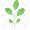 Branch Leaf Stalk Leaf Plant Stalk Icon