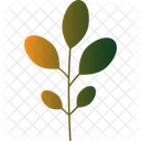 Branch Of Cotton Cotton Branch Cotton Plant Icon