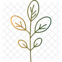 Branch Leaf Stalk  Icon