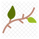 Branch Leaves  Icon