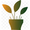 Cast Iron Plant Botanical Plant Green Plant Icon