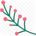 Branch with Berries  Icon