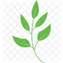 Branche De Sapin Branche De Sapin Branche A Feuilles Persistantes Icon