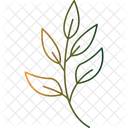 Branche de sapin  Icon