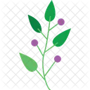 Branche Et Feuilles Branche Et Feuilles Branche Darbre Icon