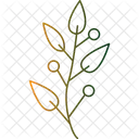 Branche et feuilles  Icon