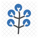 Branches  Icon