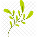 Branchy Plant Spring Nature Icon