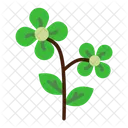 Brassica Flower Plant Icon