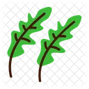Brassica Herbs Leaf Icon