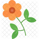 Brassica Flower Mustard Icon