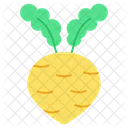 Brassica Rapa  Icon